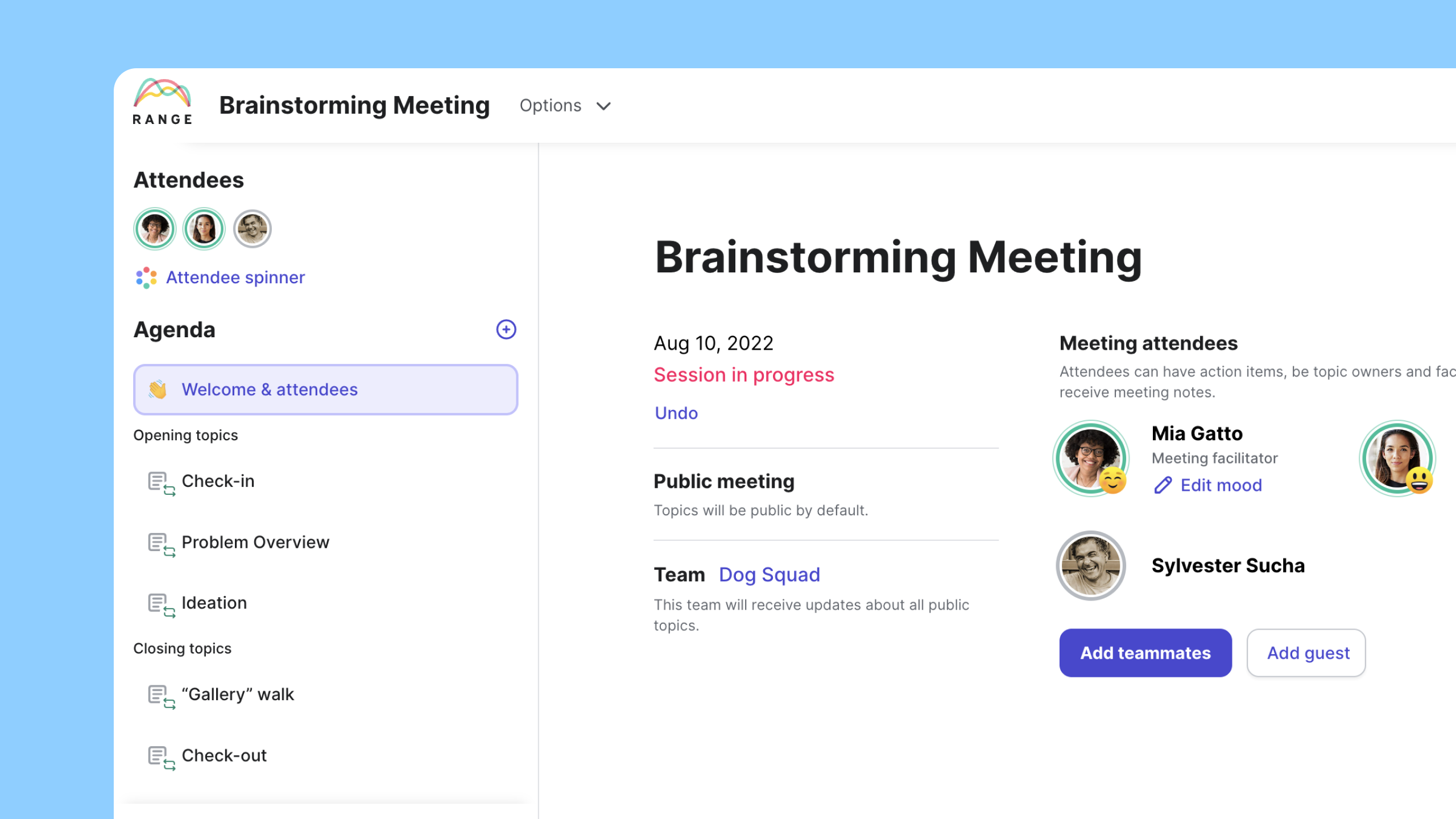 brainstorming meeting template Range