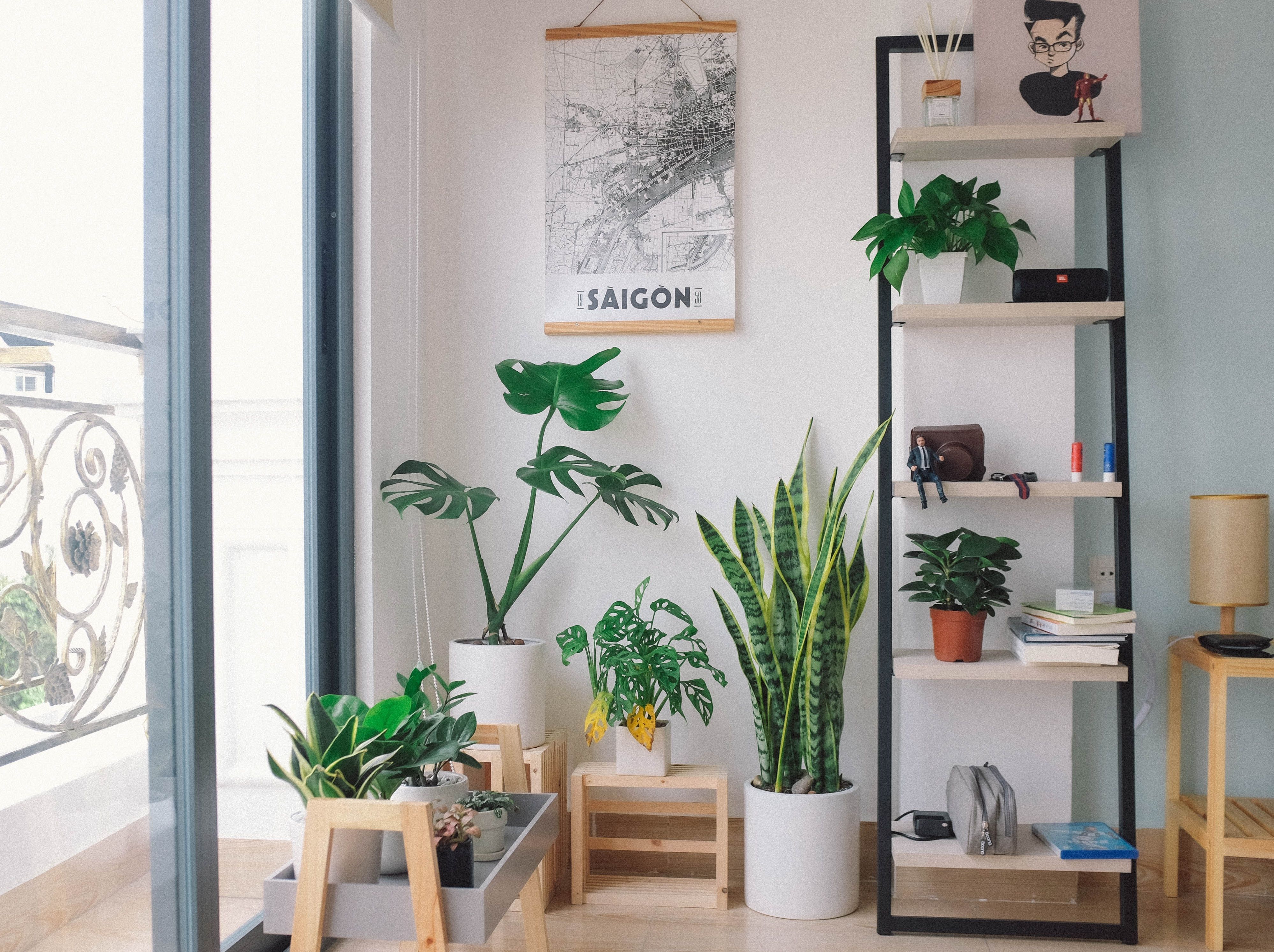 plants in the office zoom virtual background