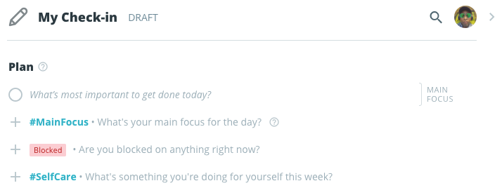 Examples of Check-in Prompts