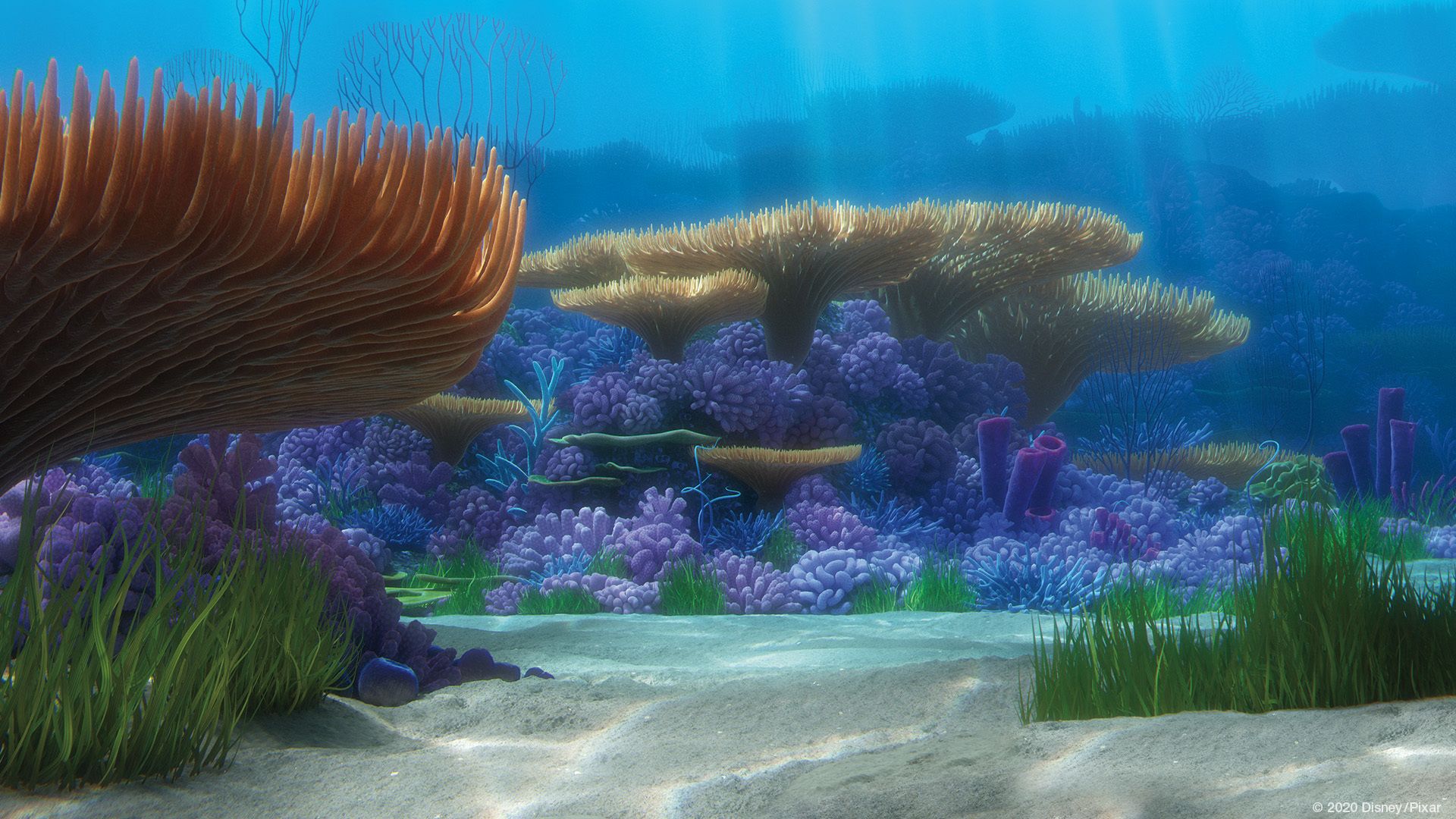finding nemo disney virtual background